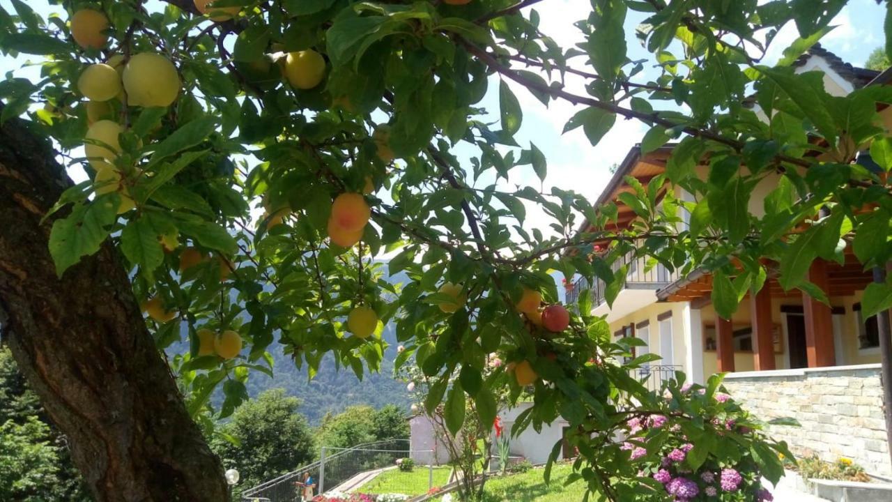 Cat Marvei Apartment Villadossola ภายนอก รูปภาพ